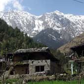 Shimla Home
